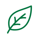 icon dinh dưỡng