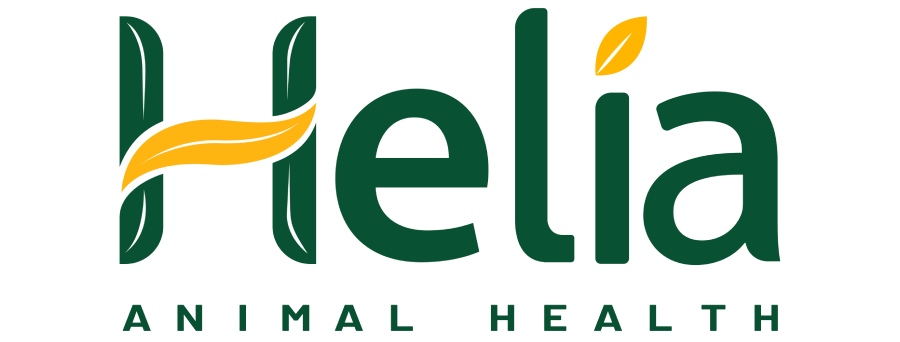 Logo helia