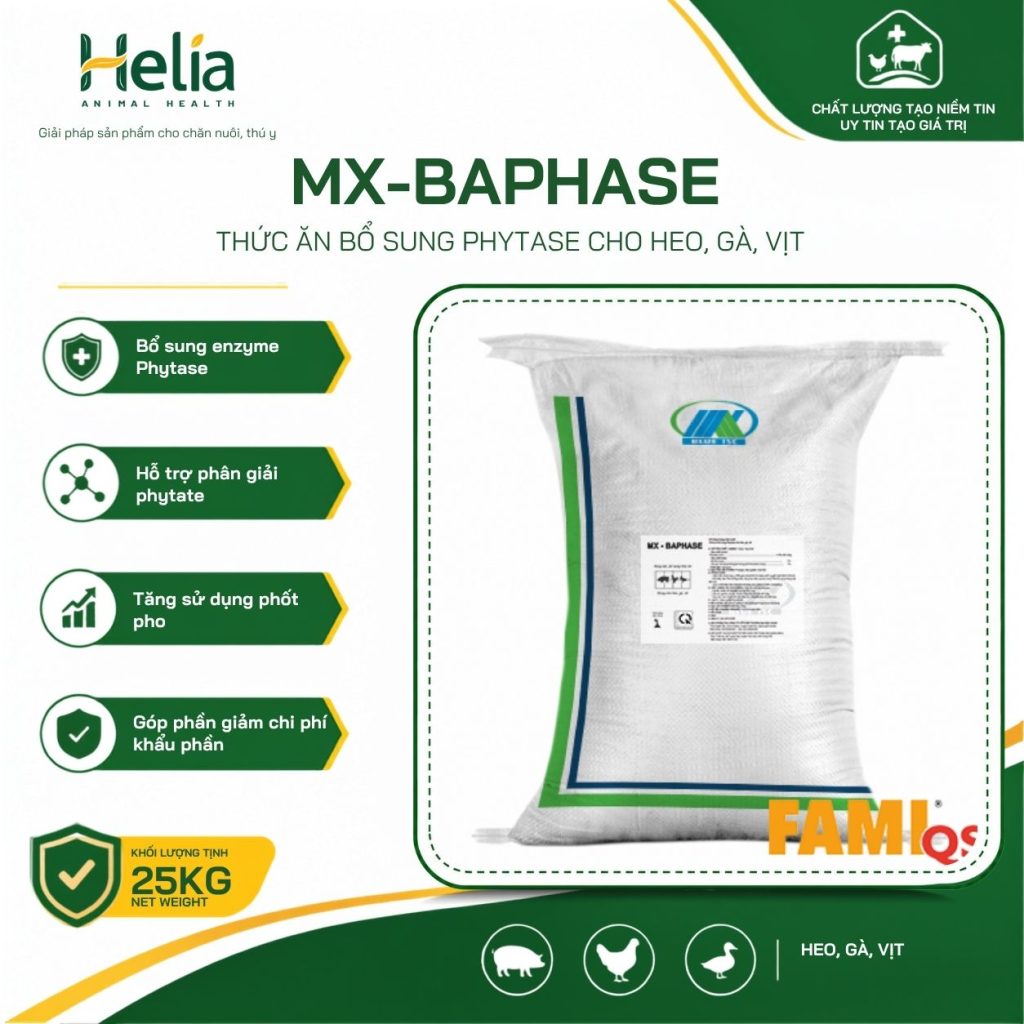 MX-Baphase