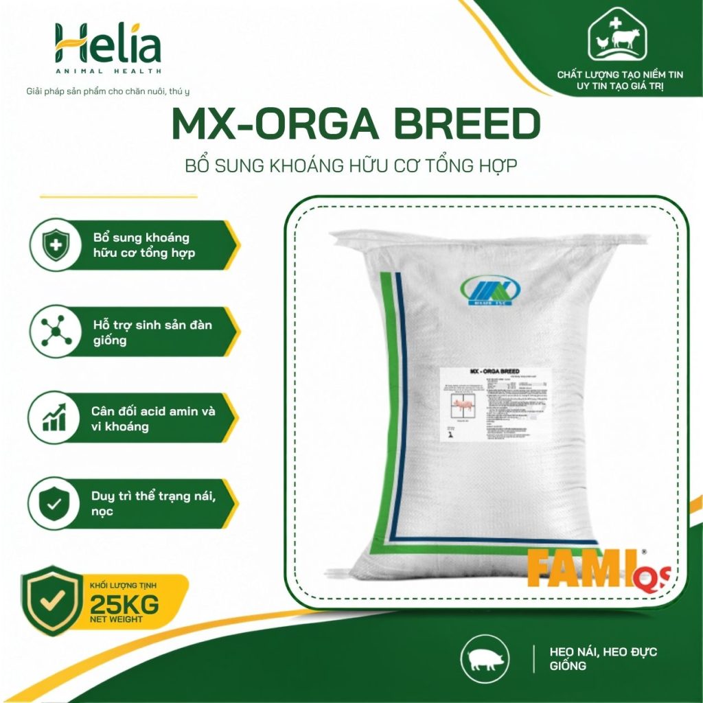 MX-Orga Breed