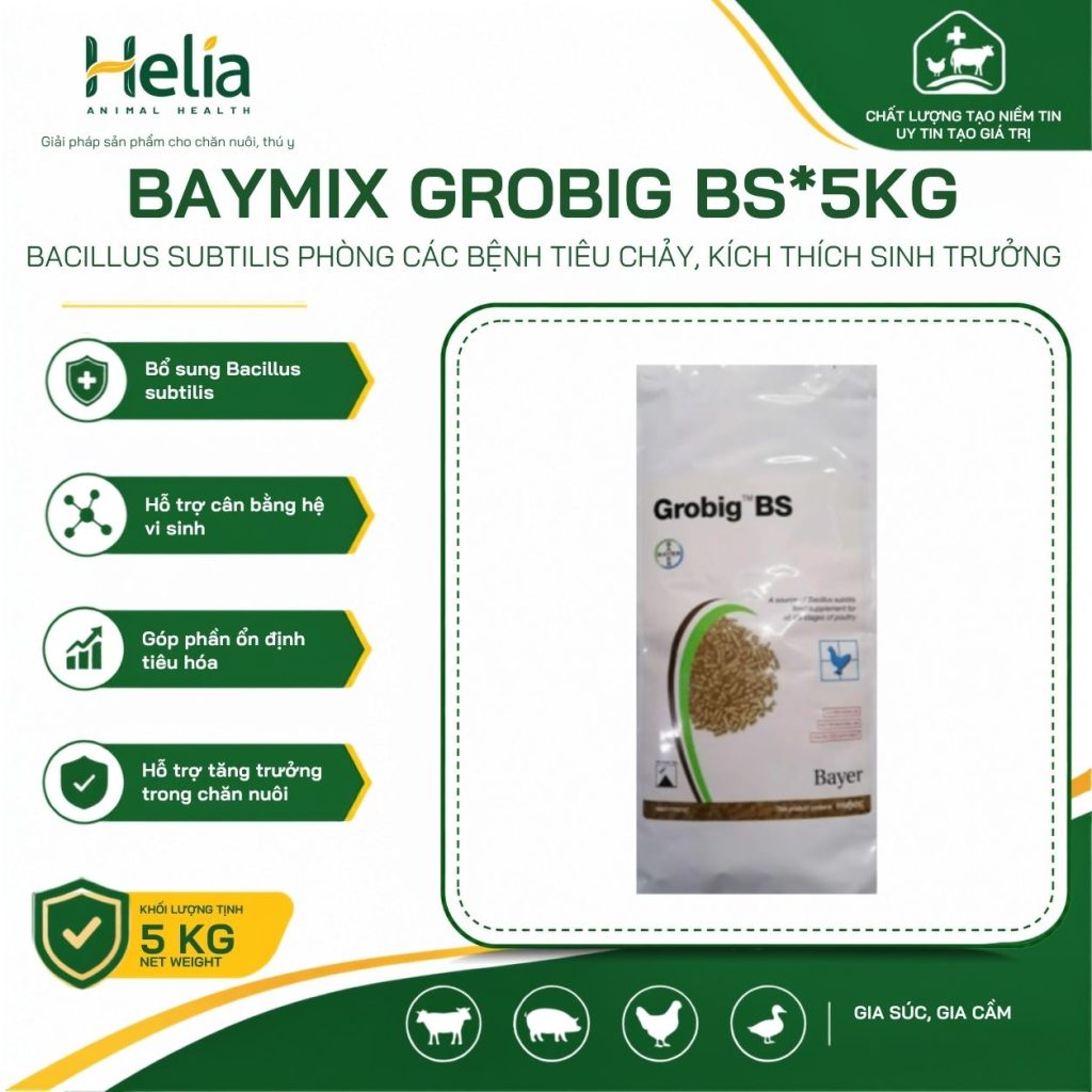 Baymix Grobig BS*5Kg