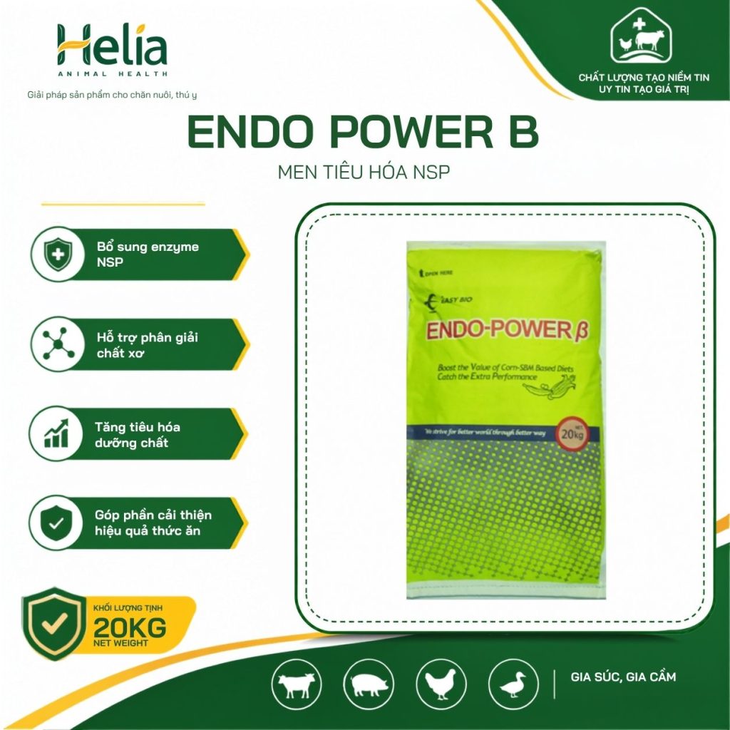 Endo Power B