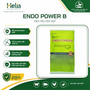 Endo Power B - ảnh sản phẩm 1