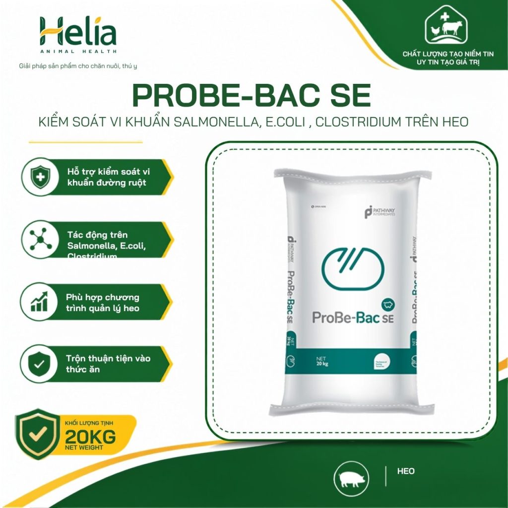 Probe-Bac SE