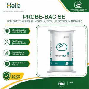 Probe-Bac SE - ảnh sản phẩm 1