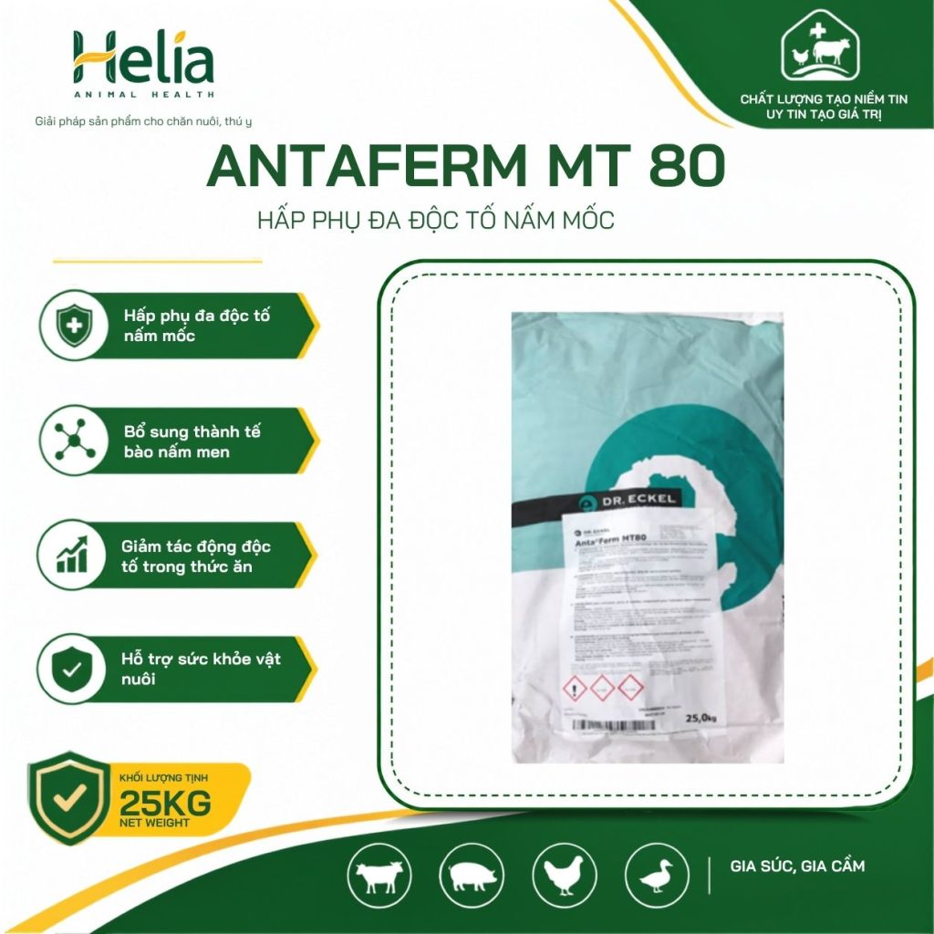 Antaferm MT 80