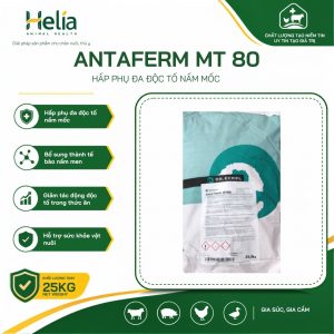 Antaferm MT 80 - ảnh sản phẩm 1