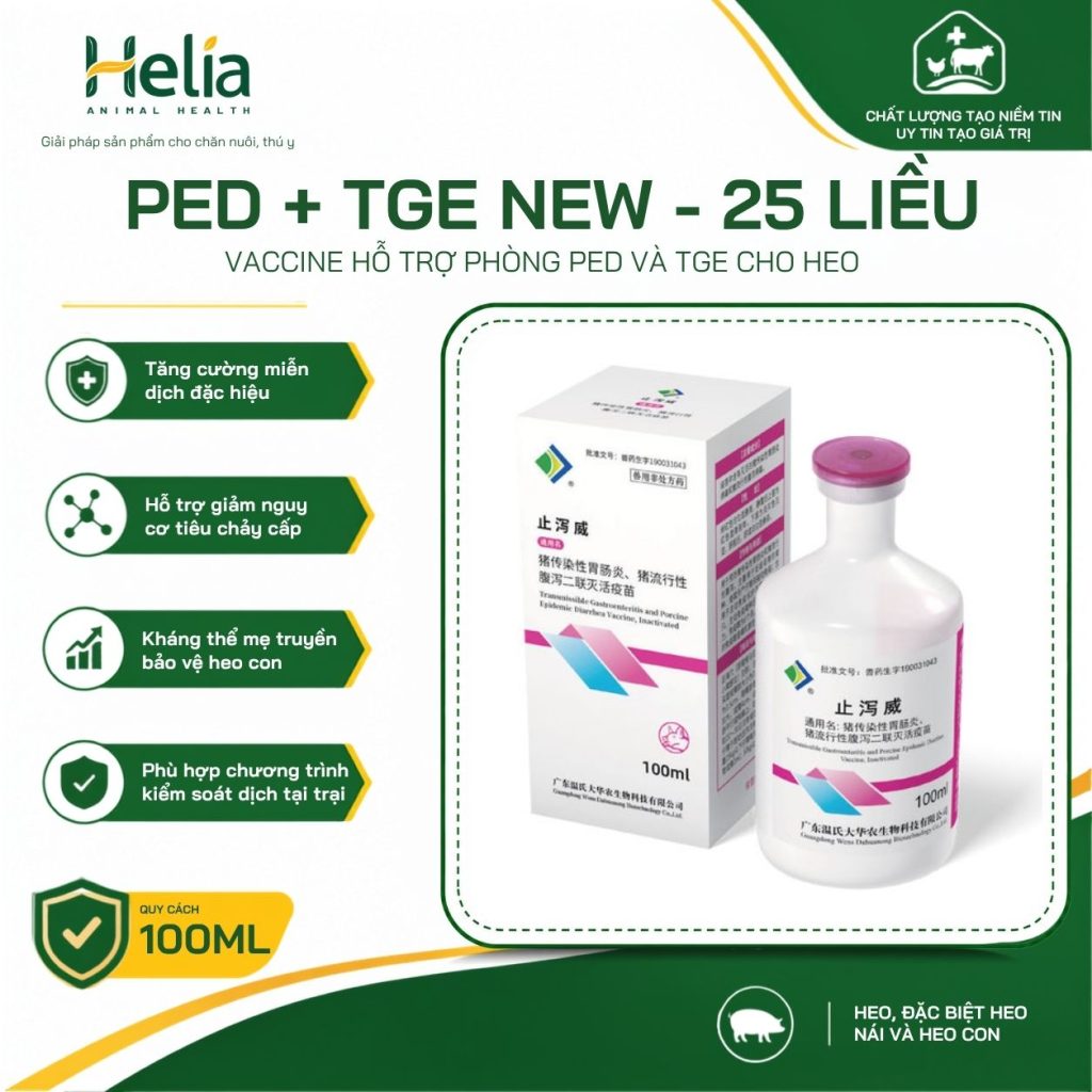 PED + TGE NEW