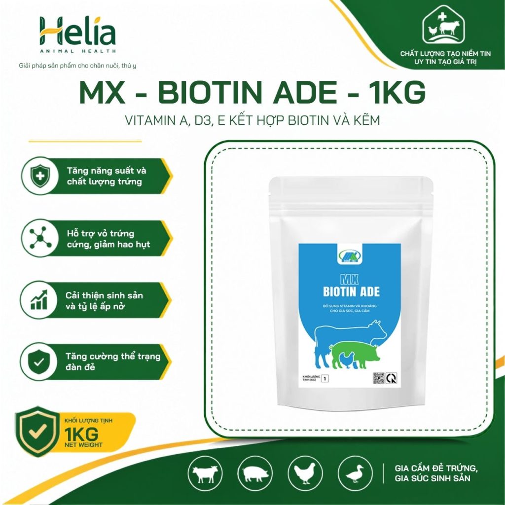 MX - BIOTIN ADE - 1kg
