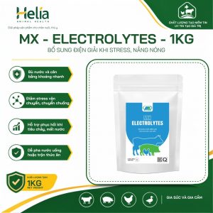MX – ELECTROLYTES – 1kg - ảnh sản phẩm 1