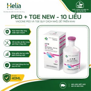 PED + TGE NEW - ảnh sản phẩm 2
