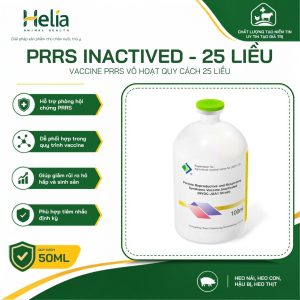 PRRS INACTIVED - ảnh sản phẩm 2
