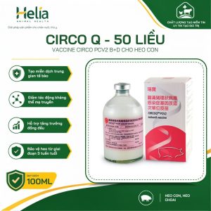 CIRCO Q – 50 liều - ảnh sản phẩm 1